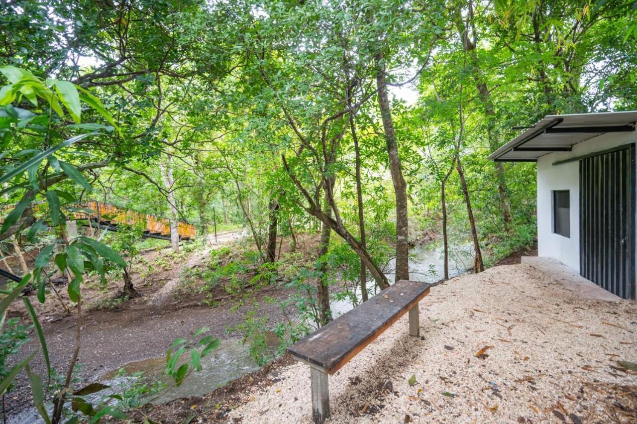 Antema Lodge Secteur Tamarindo, Piscine, Yoga, Gym, Jungle Et Paix 외부 사진