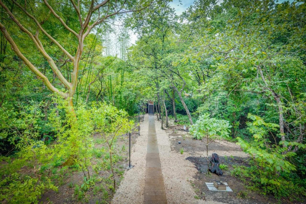 Antema Lodge Secteur Tamarindo, Piscine, Yoga, Gym, Jungle Et Paix 외부 사진