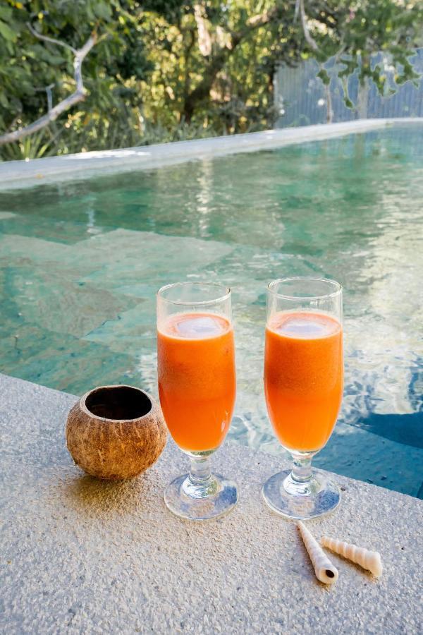Antema Lodge Secteur Tamarindo, Piscine, Yoga, Gym, Jungle Et Paix 외부 사진