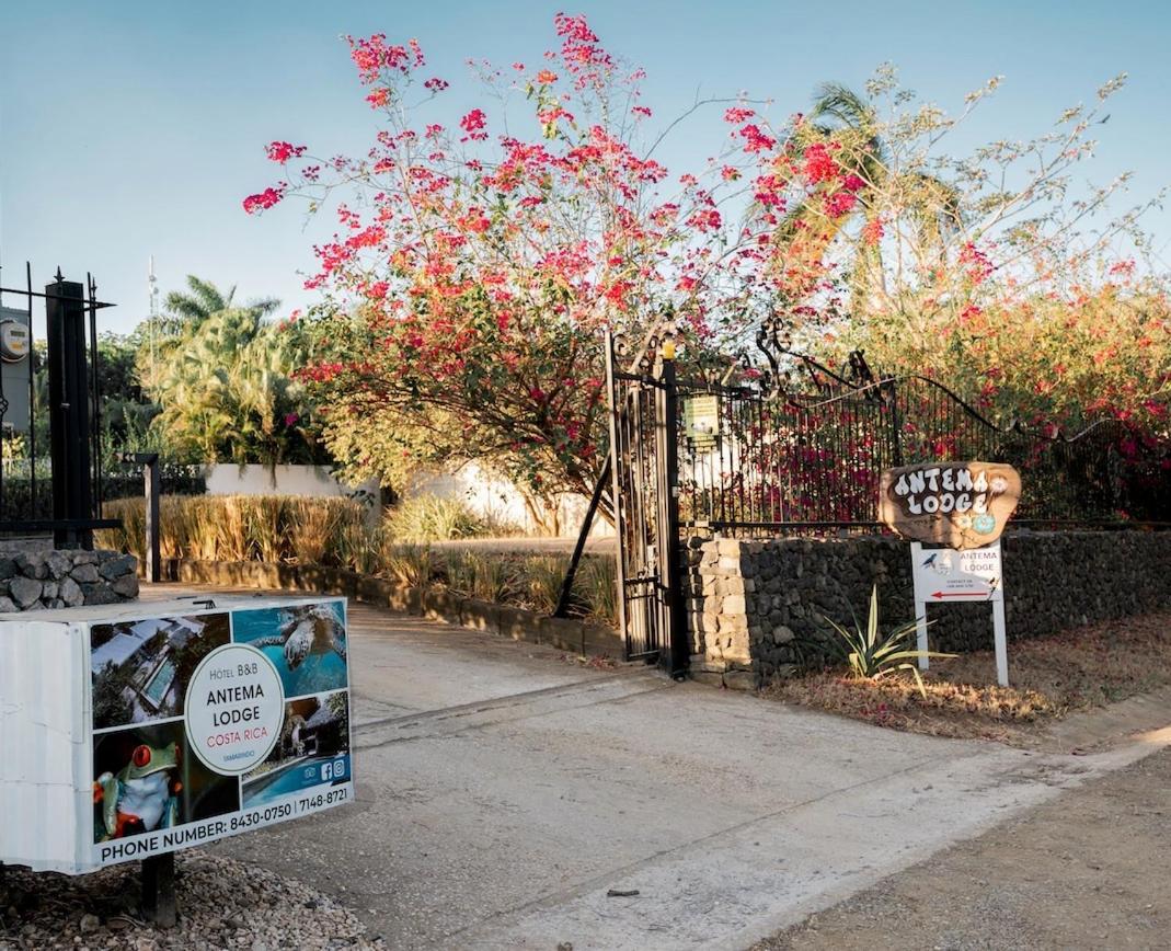 Antema Lodge Secteur Tamarindo, Piscine, Yoga, Gym, Jungle Et Paix 외부 사진