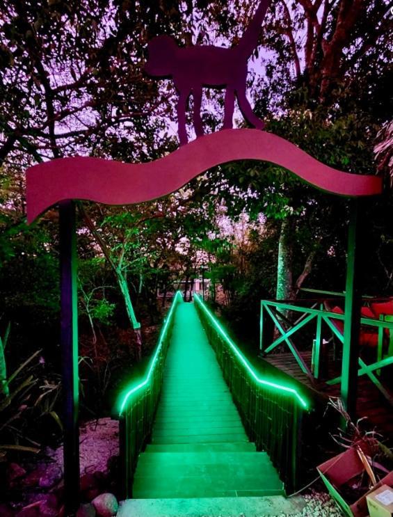 Antema Lodge Secteur Tamarindo, Piscine, Yoga, Gym, Jungle Et Paix 외부 사진