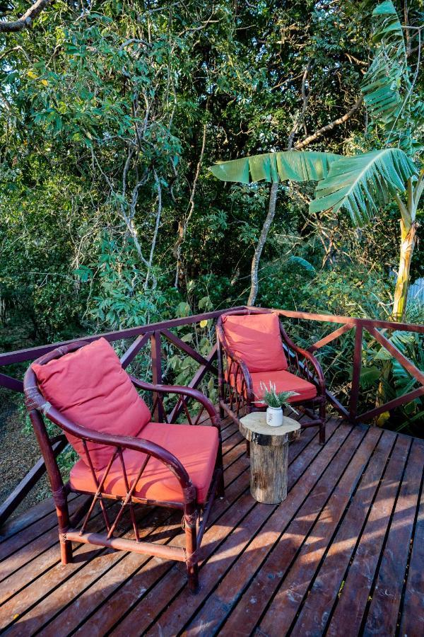 Antema Lodge Secteur Tamarindo, Piscine, Yoga, Gym, Jungle Et Paix 외부 사진