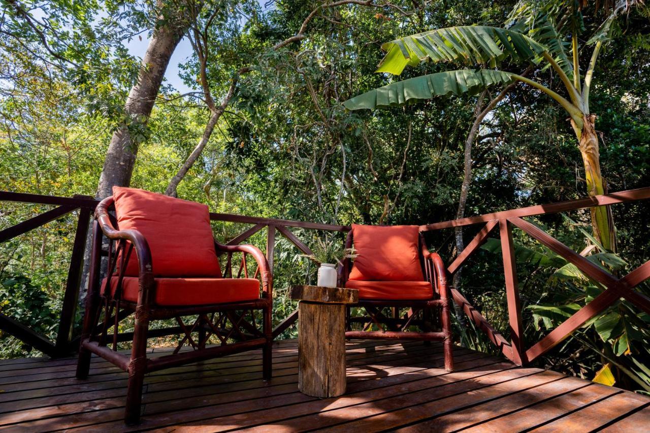 Antema Lodge Secteur Tamarindo, Piscine, Yoga, Gym, Jungle Et Paix 외부 사진
